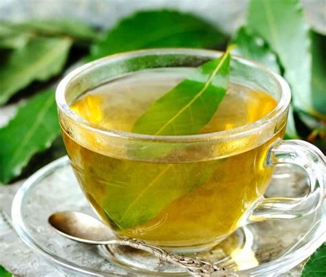 chá de folha de louro-1